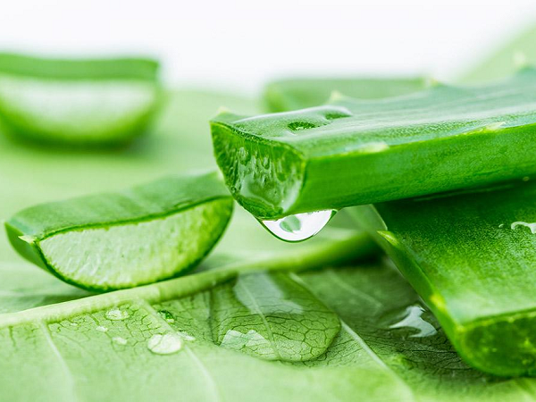 5 loại mặt nạ tự nhiên phục hồi da cháy nắng hiệu quả 5 loại mặt nạ tự nhiên phục hồi da cháy nắng hiệu quả