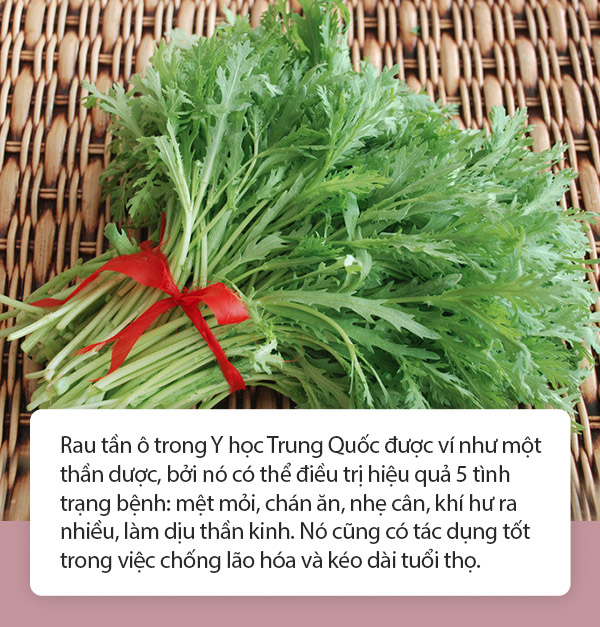 4 thực phẩm có vị đắng giúp bạn đẩy lùi hàng loạt căn bệnh do nắng nóng gây ra, mừng nhất là phòng tránh được đột quỵ do sốc nhiệt - 1 4 thực phẩm có vị đắng giúp bạn đẩy lùi hàng loạt căn bệnh do nắng nóng gây ra, mừng nhất là phòng tránh được đột quỵ do sốc nhiệt - 1