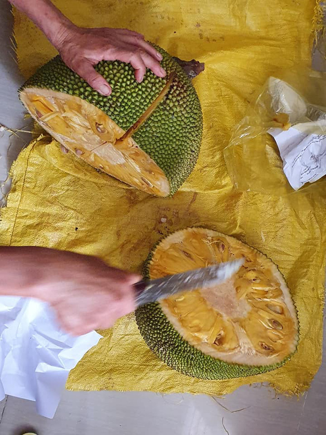 Gái đoảng luộc hạt mít quên trông để bị nung thành than hồng, dân tình xúm vào xin địa chỉ mua nồi Gái đoảng luộc hạt mít quên trông để bị nung thành than hồng, dân tình xúm vào xin địa chỉ mua nồi