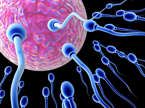 Nam giới có thể quan hệ tình dục đến tuổi nào? - 1 Nam giới có thể quan hệ tình dục đến tuổi nào? - 1