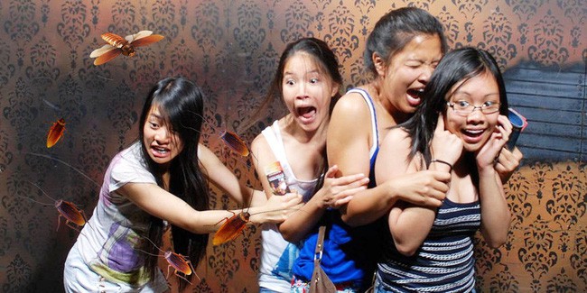 Vì sao con gián lại gây cảm giác đáng sợ, kinh tởm? Vì sao con gián lại gây cảm giác đáng sợ, kinh tởm?