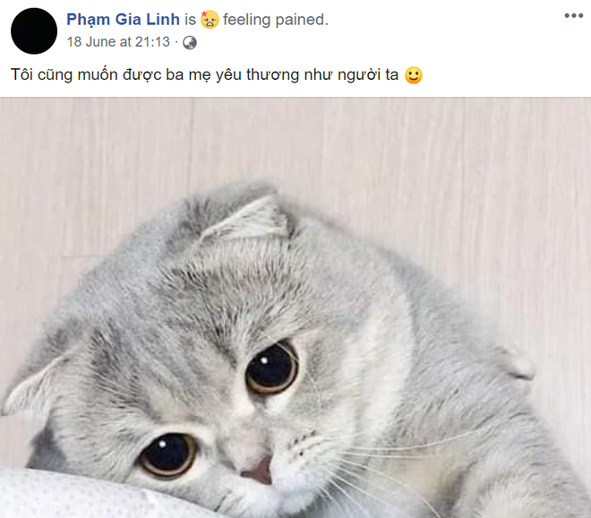 Bạn bè nhận ra bất ổn của diễn viên, ca sĩ Lynh Ly những ngày cuối đời: Mất ngủ, thay avatar đen, cố tỏ ra vui vẻ nhưng rất cô đơn và áp lực - 2 Bạn bè nhận ra bất ổn của diễn viên, ca sĩ Lynh Ly những ngày cuối đời: Mất ngủ, thay avatar đen, cố tỏ ra vui vẻ nhưng rất cô đơn và áp lực - 2
