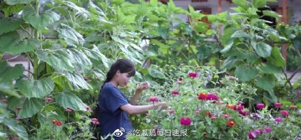 Sau khi nhảy lên No.2 hot search Weibo vì bị tố đạo ý tưởng vlog của Lý Tử Thất, Youtuber 'Bếp trên đỉnh đồi' có động thái gây sốc khiến 'dân mình' cũng phải cạn lời - 2 Sau khi nhảy lên No.2 hot search Weibo vì bị tố đạo ý tưởng vlog của Lý Tử Thất, Youtuber 'Bếp trên đỉnh đồi' có động thái gây sốc khiến 'dân mình' cũng phải cạn lời - 2
