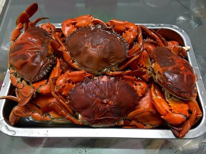 Loại cua 2 da đặc biệt khiến người nuôi không muốn bán dù được trả cả triệu đồng/kg - 1 Loại cua 2 da đặc biệt khiến người nuôi không muốn bán dù được trả cả triệu đồng/kg - 1