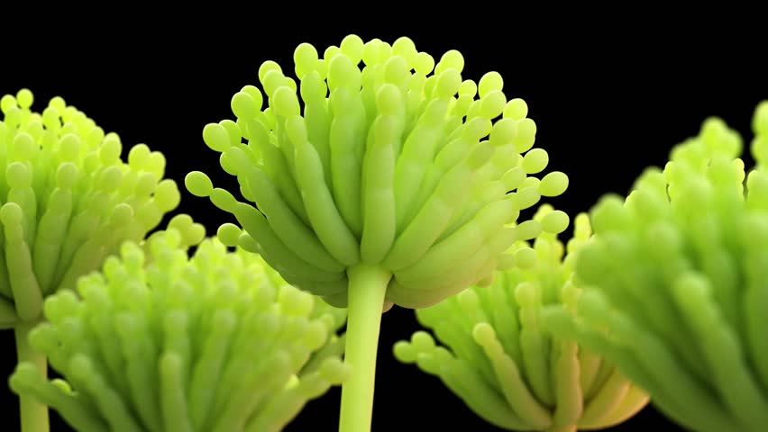 WHO cảnh báo 7 thói quen nguy hiểm trong cuộc sống thúc đẩy ung thư rất nhanh, dù ở độ tuổi nào bạn cũng nên cảnh giác - 5 WHO cảnh báo 7 thói quen nguy hiểm trong cuộc sống thúc đẩy ung thư rất nhanh, dù ở độ tuổi nào bạn cũng nên cảnh giác - 5