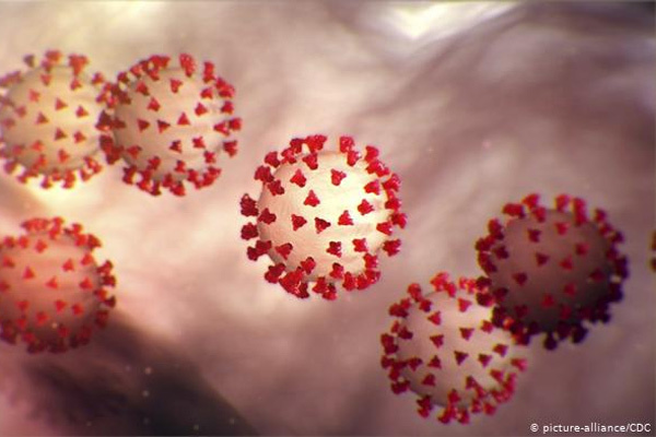 Virus gây bệnh Covid-19 hiện tại lây nhanh gấp 3-6 lần Virus gây bệnh Covid-19 hiện tại lây nhanh gấp 3-6 lần