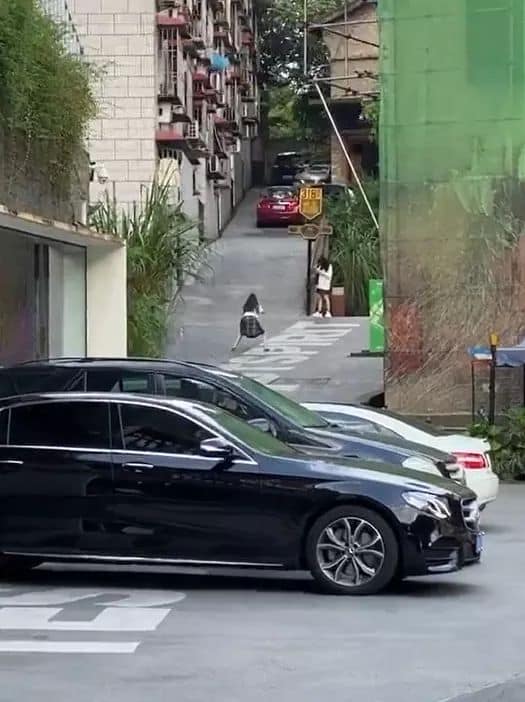 Dân mạng phì cười trước khoảnh khắc hai cô gái nhiệt tình chụp ảnh cho nhau, kiếm được đứa bạn có tâm quả là điều may mắn Dân mạng phì cười trước khoảnh khắc hai cô gái nhiệt tình chụp ảnh cho nhau, kiếm được đứa bạn có tâm quả là điều may mắn