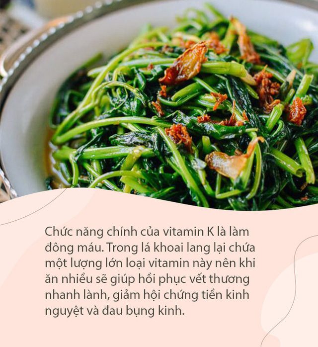 Đây là loại rau giàu vitamin gấp 10 lần củ khoai lang, có tác dụng phòng bệnh ung thư và cực tốt cho ngày 'đèn đỏ' - 1 Đây là loại rau giàu vitamin gấp 10 lần củ khoai lang, có tác dụng phòng bệnh ung thư và cực tốt cho ngày 'đèn đỏ' - 1
