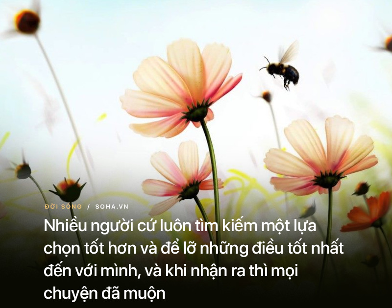 Nhậu say tới bến, hôm sau chồng sững sờ trước phản ứng chưa từng có của vợ Nhậu say tới bến, hôm sau chồng sững sờ trước phản ứng chưa từng có của vợ