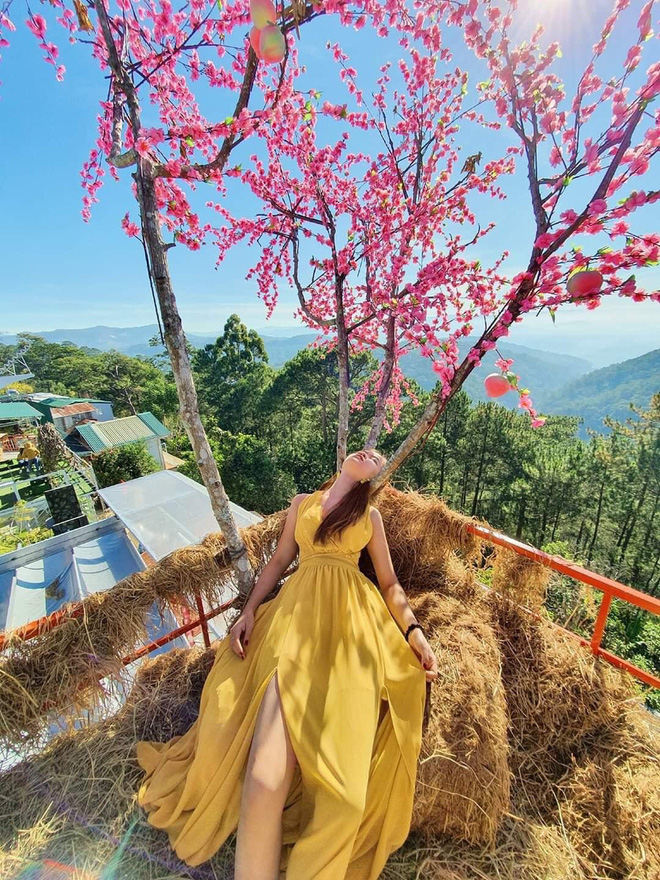 Cô gái Sài Gòn khiến tất cả giật mình với bộ ảnh check-in Đà Lạt theo style 'không giống ai' - 3 Cô gái Sài Gòn khiến tất cả giật mình với bộ ảnh check-in Đà Lạt theo style 'không giống ai' - 3