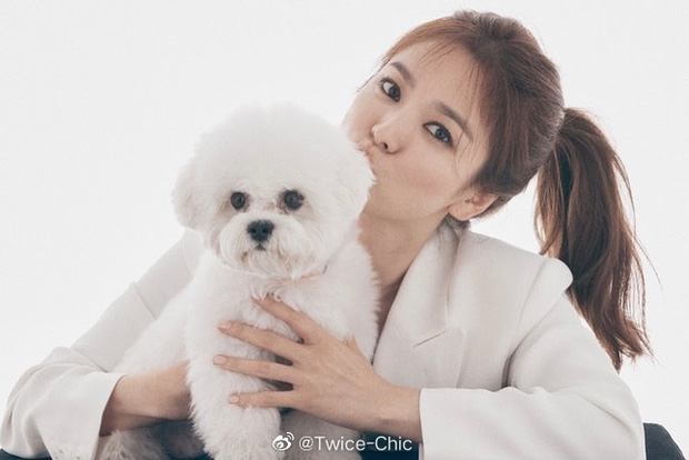 Song Hye Kyo lần đầu lộ diện sau tin đồn Song Joong Ki hẹn hò nữ luật sư, nhan sắc và biểu cảm gây chú ý - 1 Song Hye Kyo lần đầu lộ diện sau tin đồn Song Joong Ki hẹn hò nữ luật sư, nhan sắc và biểu cảm gây chú ý - 1