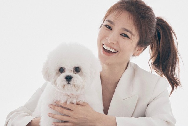 Song Joong Ki đã thua triệt để Song Hye Kyo trong cuộc chiến hậu ly hôn: Vợ trở thành 'nữ hoàng bất động sản' vừa có tiếng lại có miếng, chồng thì chật vật tìm cơ hội? - 2 Song Joong Ki đã thua triệt để Song Hye Kyo trong cuộc chiến hậu ly hôn: Vợ trở thành 'nữ hoàng bất động sản' vừa có tiếng lại có miếng, chồng thì chật vật tìm cơ hội? - 2