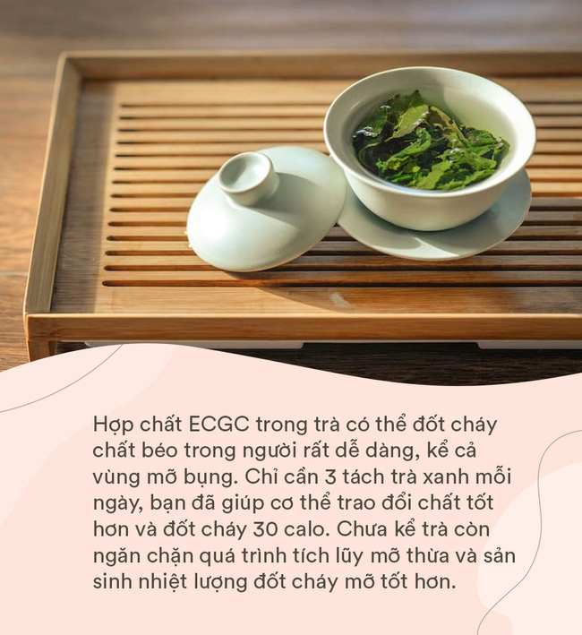 Béo bụng không còn là nỗi lo nếu chị em chăm ăn 5 loại thực phẩm này, vừa tốt cho sức khỏe lại còn 'đốt cháy' mỡ từ bên trong - 2 Béo bụng không còn là nỗi lo nếu chị em chăm ăn 5 loại thực phẩm này, vừa tốt cho sức khỏe lại còn 'đốt cháy' mỡ từ bên trong - 2