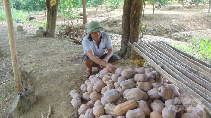 Tổ yến giảm giá chục triệu, sầu riêng ngon rẻ chưa từng có - 3 Tổ yến giảm giá chục triệu, sầu riêng ngon rẻ chưa từng có - 3