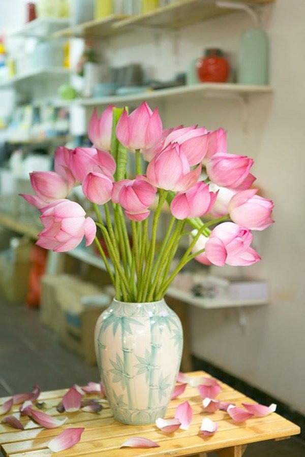 Mỗi sáng đặt thứ này lên bàn thờ Thần Tài, gia chủ ngồi không cũng có lộc - 1 Mỗi sáng đặt thứ này lên bàn thờ Thần Tài, gia chủ ngồi không cũng có lộc - 1
