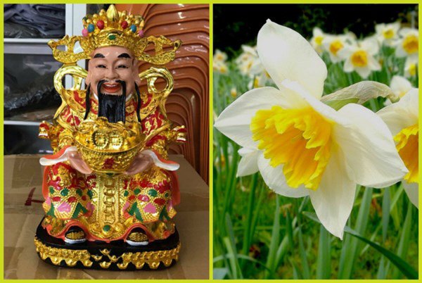 Mỗi sáng đặt thứ này lên bàn thờ Thần Tài, gia chủ ngồi không cũng có lộc - 2 Mỗi sáng đặt thứ này lên bàn thờ Thần Tài, gia chủ ngồi không cũng có lộc - 2