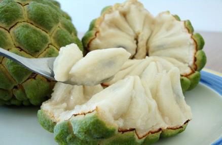 Đây là 3 nhóm người dù có thèm đến mấy cũng nên kiêng ăn na, khi ăn cần lưu ý tránh 5 điều này - 1 Đây là 3 nhóm người dù có thèm đến mấy cũng nên kiêng ăn na, khi ăn cần lưu ý tránh 5 điều này - 1