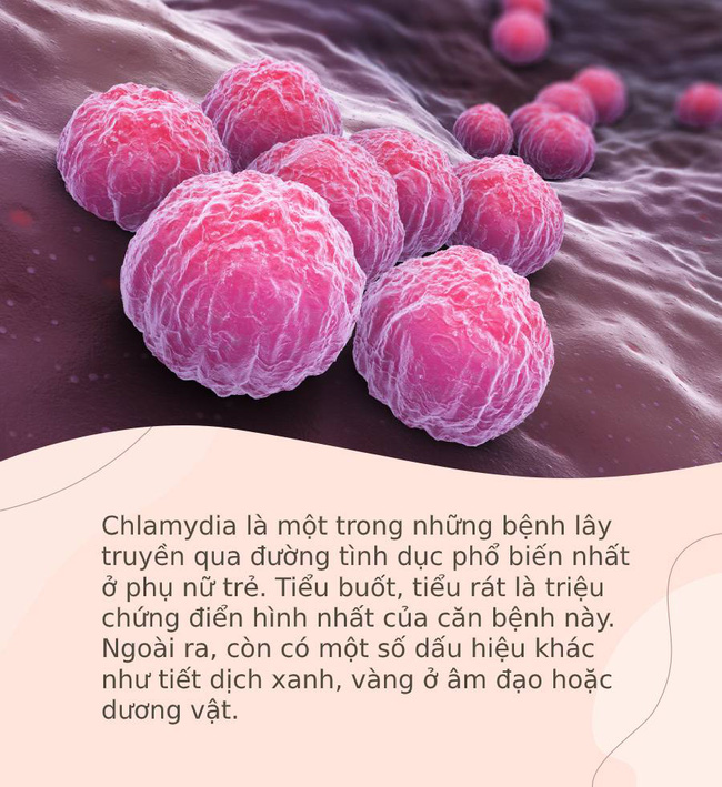 WHO khuyến cáo 4 căn bệnh cực kỳ dễ lây lan khi quan hệ tình dục và những thông tin cần nhớ để chủ động phòng tránh WHO khuyến cáo 4 căn bệnh cực kỳ dễ lây lan khi quan hệ tình dục và những thông tin cần nhớ để chủ động phòng tránh