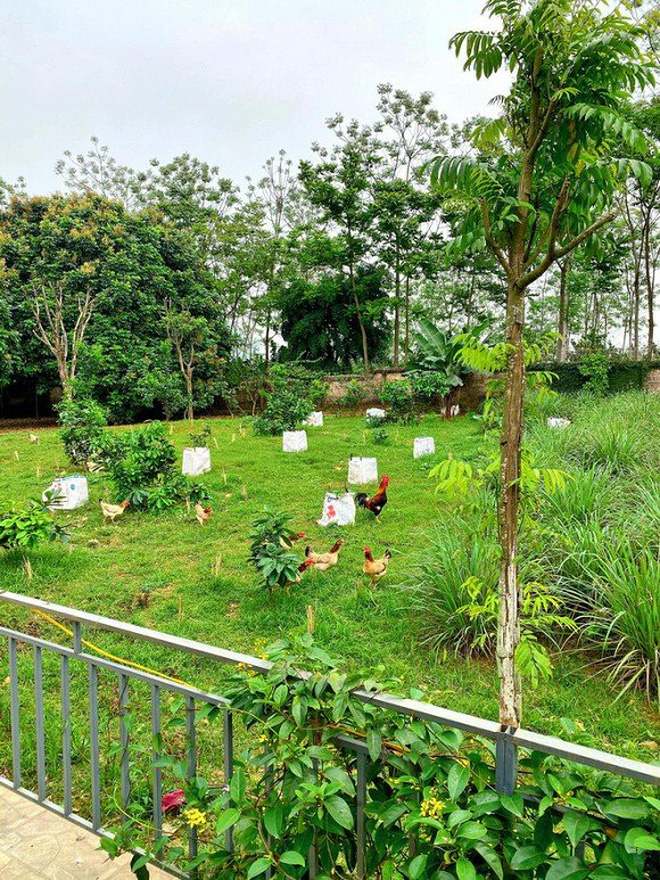 Mãn nhãn với loạt cơ ngơi của dàn 'cá mập' trong Shark Tank: Người độc thân ưa biệt thự hoành tráng, kẻ đã kết hôn lại thích style trồng rau, nuôi gà - 5 Mãn nhãn với loạt cơ ngơi của dàn 'cá mập' trong Shark Tank: Người độc thân ưa biệt thự hoành tráng, kẻ đã kết hôn lại thích style trồng rau, nuôi gà - 5