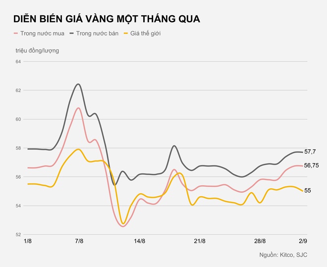 Giá vàng miếng trong nước đắt hơn thế giới gần 3 triệu đồng