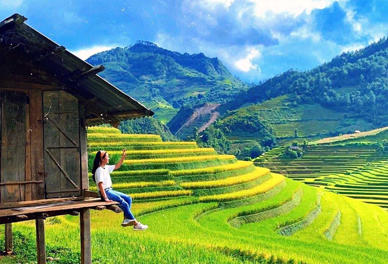 Thua lỗ trăm tỷ, giám đốc du lịch đi bán hoa quả, trà sữa - 2 Thua lỗ trăm tỷ, giám đốc du lịch đi bán hoa quả, trà sữa - 2