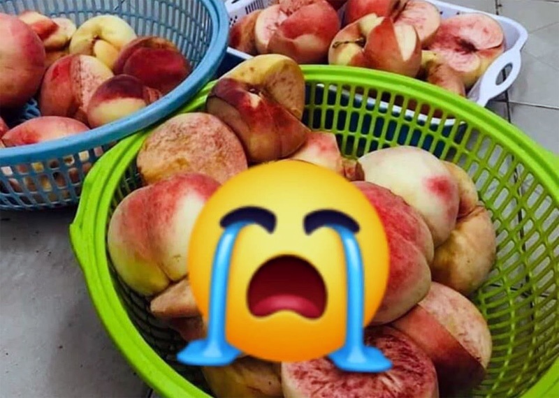 Thua lỗ trăm tỷ, giám đốc du lịch đi bán hoa quả, trà sữa Thua lỗ trăm tỷ, giám đốc du lịch đi bán hoa quả, trà sữa