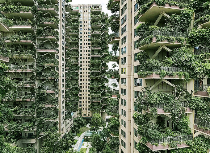 Chung cư 'khu rừng thẳng đứng' bị bỏ hoang vì nhiều muỗi - 6 Chung cư 'khu rừng thẳng đứng' bị bỏ hoang vì nhiều muỗi - 6