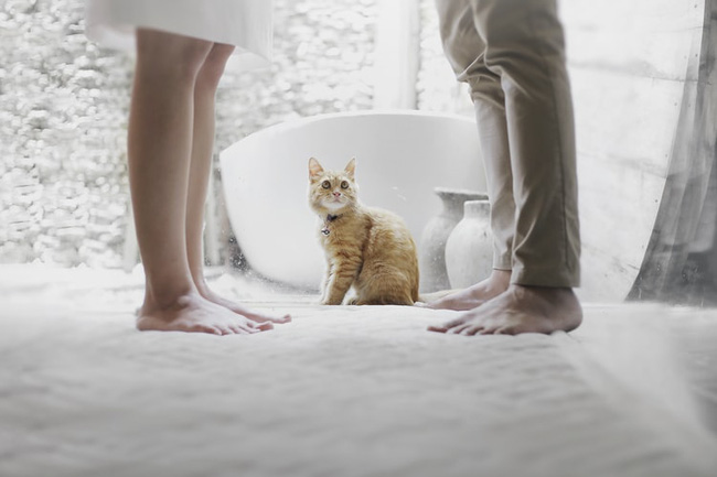 Người yêu cũ đột nhiên ghé thăm trong giấc mơ? Lời giải thích của chuyên gia sẽ khiến chị em bất ngờ vì những điều ẩn sâu trong tiềm thức - 3 Người yêu cũ đột nhiên ghé thăm trong giấc mơ? Lời giải thích của chuyên gia sẽ khiến chị em bất ngờ vì những điều ẩn sâu trong tiềm thức - 3