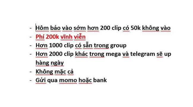 SỐC: Phát hiện phòng chat bí mật chuyên chia sẻ clip khiêu dâm trẻ em thu phí thành viên, đặc biệt có cả trẻ Việt Nam - 1 SỐC: Phát hiện phòng chat bí mật chuyên chia sẻ clip khiêu dâm trẻ em thu phí thành viên, đặc biệt có cả trẻ Việt Nam - 1