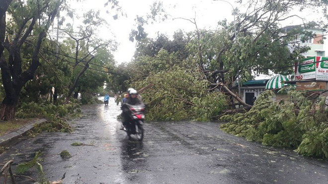 Cảnh tượng bão số 5 gây gió giật khủng khiếp ở Huế, cây lớn bị quật ngã xuống đường Cảnh tượng bão số 5 gây gió giật khủng khiếp ở Huế, cây lớn bị quật ngã xuống đường