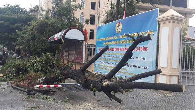 Nhà tốc mái, cây xanh, trạm điện gãy sập vì bão số 5 - 1 Nhà tốc mái, cây xanh, trạm điện gãy sập vì bão số 5 - 1