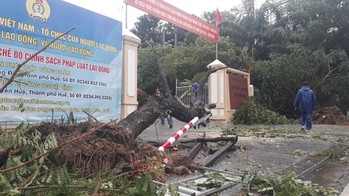 Nhà tốc mái, cây xanh, trạm điện gãy sập vì bão số 5 - 3 Nhà tốc mái, cây xanh, trạm điện gãy sập vì bão số 5 - 3