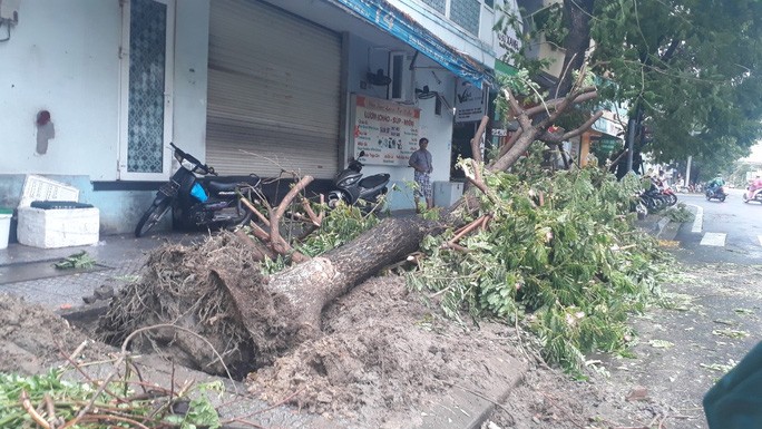 Nhà tốc mái, cây xanh, trạm điện gãy sập vì bão số 5 - 4 Nhà tốc mái, cây xanh, trạm điện gãy sập vì bão số 5 - 4