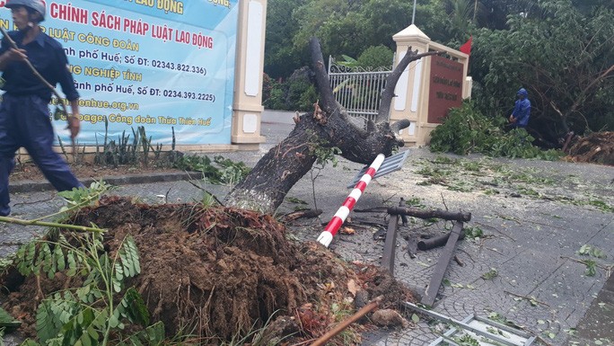 Nhà tốc mái, cây xanh, trạm điện gãy sập vì bão số 5 - 5 Nhà tốc mái, cây xanh, trạm điện gãy sập vì bão số 5 - 5