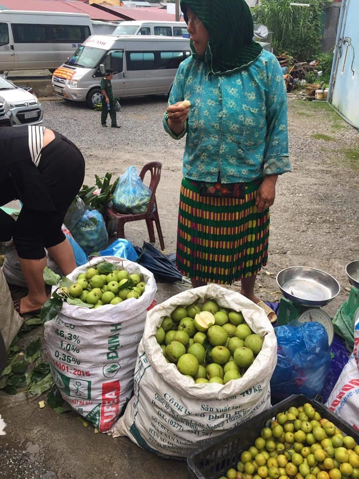 Đặc sản Hà Giang mát lịm, ngọt như đường đánh dạt hàng Trung Quốc Đặc sản Hà Giang mát lịm, ngọt như đường đánh dạt hàng Trung Quốc