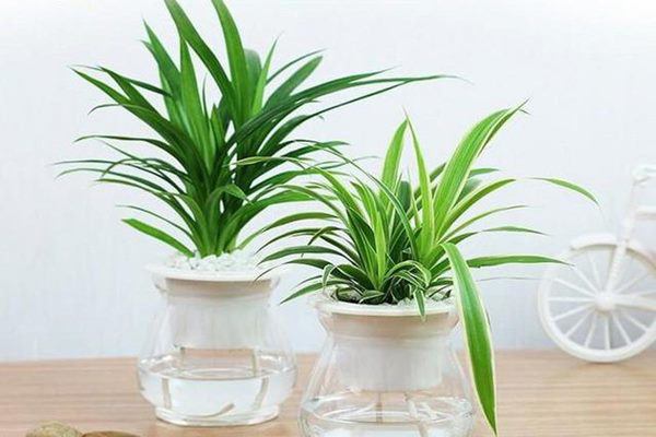 Sự thật về 6 quan niệm phong thủy mà nhiều người răm rắp làm theo nhưng lại chẳng mấy khi thấy lộc - 1 Sự thật về 6 quan niệm phong thủy mà nhiều người răm rắp làm theo nhưng lại chẳng mấy khi thấy lộc - 1