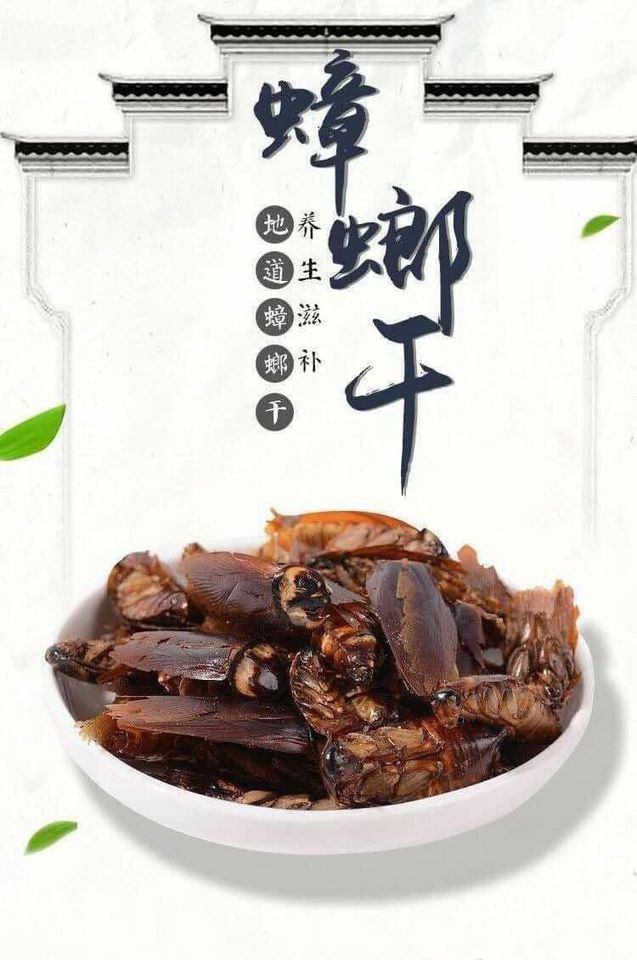 Một cửa hàng online rao bán snack 'gián sấy khô' gây ám ảnh, nghĩ đùa thôi nhưng khi vào xem thành phẩm dân mạng tá hỏa chỉ muốn thoát ra Một cửa hàng online rao bán snack 'gián sấy khô' gây ám ảnh, nghĩ đùa thôi nhưng khi vào xem thành phẩm dân mạng tá hỏa chỉ muốn thoát ra