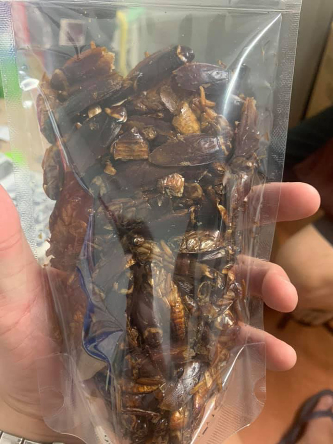 Một cửa hàng online rao bán snack 'gián sấy khô' gây ám ảnh, nghĩ đùa thôi nhưng khi vào xem thành phẩm dân mạng tá hỏa chỉ muốn thoát ra - 1 Một cửa hàng online rao bán snack 'gián sấy khô' gây ám ảnh, nghĩ đùa thôi nhưng khi vào xem thành phẩm dân mạng tá hỏa chỉ muốn thoát ra - 1