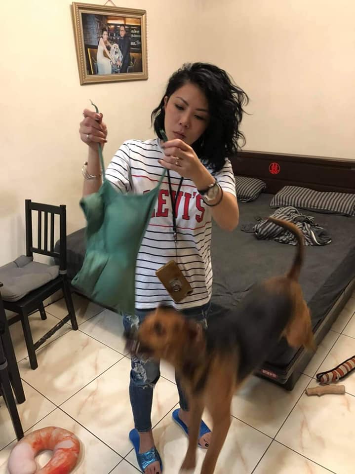 Vợ khóc thét vì 'tuesday' ngang nhiên phá hoại mọi thứ trong nhà nhưng không thể đánh trả bởi lý do vô cùng oan trái - 7 Vợ khóc thét vì 'tuesday' ngang nhiên phá hoại mọi thứ trong nhà nhưng không thể đánh trả bởi lý do vô cùng oan trái - 7