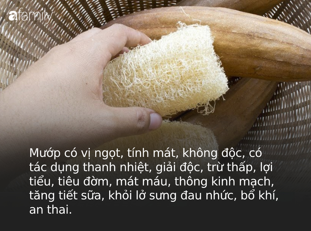 Chỉ với quả mướp sẵn có trong nhà, chị em có thể áp dụng được vô số cách vừa giúp da láng mịn, căng bóng lại trị triệt được một số 'bệnh phụ nữ' - 2 Chỉ với quả mướp sẵn có trong nhà, chị em có thể áp dụng được vô số cách vừa giúp da láng mịn, căng bóng lại trị triệt được một số 'bệnh phụ nữ' - 2