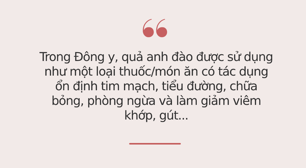 Dù 20, 30 hay 40 tuổi, phụ nữ cũng cần ăn ít nhất 1 loại quả này trong ngày để làm đẹp da, giải độc, chống lão hóa và sống thọ hơn - 2 Dù 20, 30 hay 40 tuổi, phụ nữ cũng cần ăn ít nhất 1 loại quả này trong ngày để làm đẹp da, giải độc, chống lão hóa và sống thọ hơn - 2