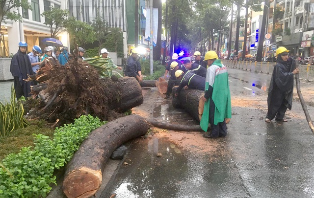 Nạn nhân bị cây xanh bật gốc đè trúng trong mưa lớn ở Sài Gòn chấn thương nặng, đã phẫu thuật gấp - 2