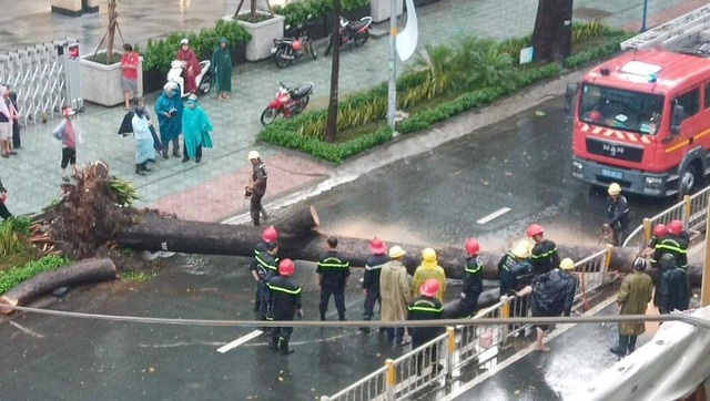 Nam thanh niên bị cây xanh bật gốc đè trúng trong mưa lớn ở Sài Gòn tử vong sau mổ - 1 Nam thanh niên bị cây xanh bật gốc đè trúng trong mưa lớn ở Sài Gòn tử vong sau mổ - 1