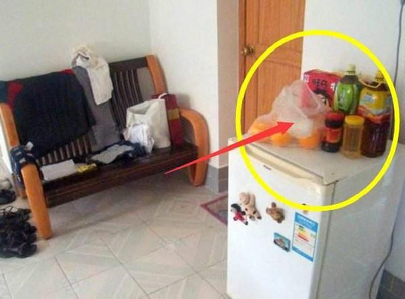 Đại kỵ phong thủy khi để vật này trên nóc tủ lạnh khiến tài lộc tiêu tan Đại kỵ phong thủy khi để vật này trên nóc tủ lạnh khiến tài lộc tiêu tan