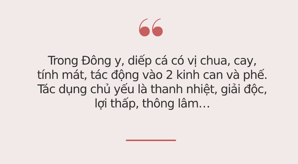 Phụ nữ nếu không muốn già nhanh, hãy ghi nhớ 2 loại rau này để thúc đẩy tuần hoàn máu, điều hòa kinh nguyệt và bảo vệ tử cung - 3 Phụ nữ nếu không muốn già nhanh, hãy ghi nhớ 2 loại rau này để thúc đẩy tuần hoàn máu, điều hòa kinh nguyệt và bảo vệ tử cung - 3