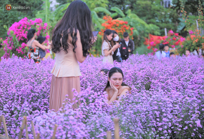 Dân tình chen chúc 'sống ảo' tại vườn hoa thạch thảo đẹp lịm tim lần đầu được trồng ở Đà Nẵng - 4 Dân tình chen chúc 'sống ảo' tại vườn hoa thạch thảo đẹp lịm tim lần đầu được trồng ở Đà Nẵng - 4