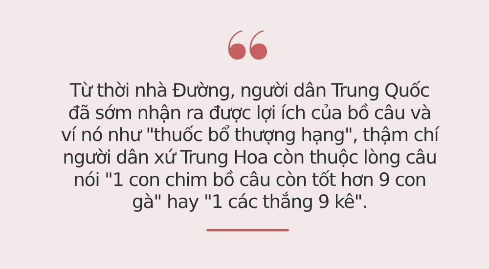 Bổ hơn thịt gà 9 LẦN, loại thịt này được Đông y ví là 'thuốc quý', tận dụng để bổ khí, dưỡng huyết, nuôi dưỡng gan, thận đều rất hiệu quả - 2 Bổ hơn thịt gà 9 LẦN, loại thịt này được Đông y ví là 'thuốc quý', tận dụng để bổ khí, dưỡng huyết, nuôi dưỡng gan, thận đều rất hiệu quả - 2