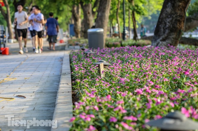Diện mạo Hồ Gươm thay đổi ra sao trước ngày 'về đích'? - 14 Diện mạo Hồ Gươm thay đổi ra sao trước ngày 'về đích'? - 14