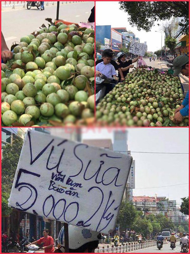 'Lừa tình' hơn cả ảnh mạng chính là những tấm bảng giá treo đầy từ ngoài đường vào trong siêu thị, tinh mắt lắm mới nhận ra mánh khoé - 5 'Lừa tình' hơn cả ảnh mạng chính là những tấm bảng giá treo đầy từ ngoài đường vào trong siêu thị, tinh mắt lắm mới nhận ra mánh khoé - 5