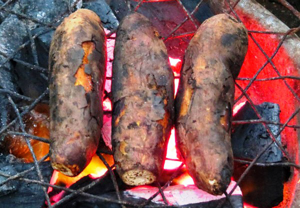 9 loại thực phẩm chẳng khác nào kháng sinh tự nhiên tăng cường hệ miễn dịch và giữ ấm cơ thể vào mùa đông - 2 9 loại thực phẩm chẳng khác nào kháng sinh tự nhiên tăng cường hệ miễn dịch và giữ ấm cơ thể vào mùa đông - 2